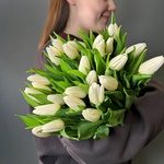 Белые тюльпаны - Фотография 1