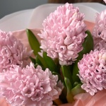 Авторский букет «Неразлучники» с розовым гиацинтом - Фотография 2