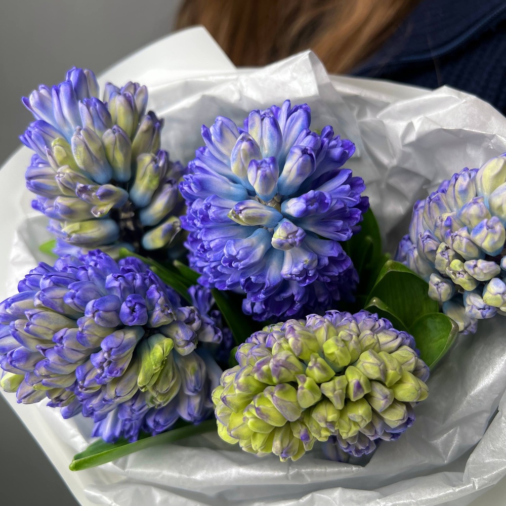 Авторский букет «Неразлучники» с синим гиацинтом