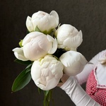 Свежих 5 белых пионов под ленту  - Фотография 2
