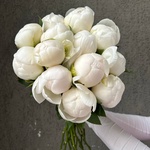 Свежих 13 белых пионов под ленту - Фотография 6