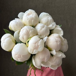 Букет «Свежих 13 белых пионов под ленту» Букет «Свежих 13 белых пионов под ленту»