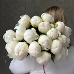 Свежих 19 белых пионов под ленту  - Фотография 2