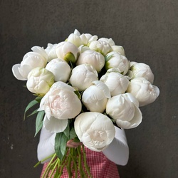 Букет «Свежих 21 белых пионов под ленту»