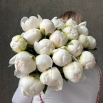 Свежих 21 белых пионов под ленту - Фотография 9