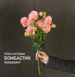 Кустовая пионовидная роза Бомбастик - монобукет из кустовой розы Бомбастик - Фотография 1