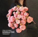 Кустовая пионовидная роза Бомбастик - монобукет из кустовой розы Бомбастик - Фотография 2