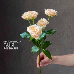 Букет «Роза кустовая персиковая»