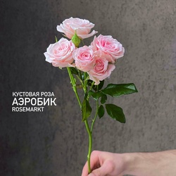 Букет «Роза кустовая розовая»