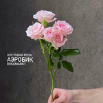 Роза кустовая розовая - монобукет из кустовой розовой розы - Фотография 1