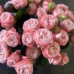 Монобукет из 9 кустовых роз Бомбастик под ленту — монобукет букет с кустовыми розами Бомбастик  - Фотография 4