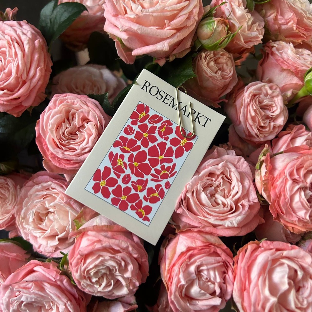 Монобукет из 9 кустовых роз Бомбастик под ленту