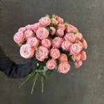 Монобукет из 9 кустовых роз Бомбастик под ленту — монобукет букет с кустовыми розами Бомбастик  - Фотография 5