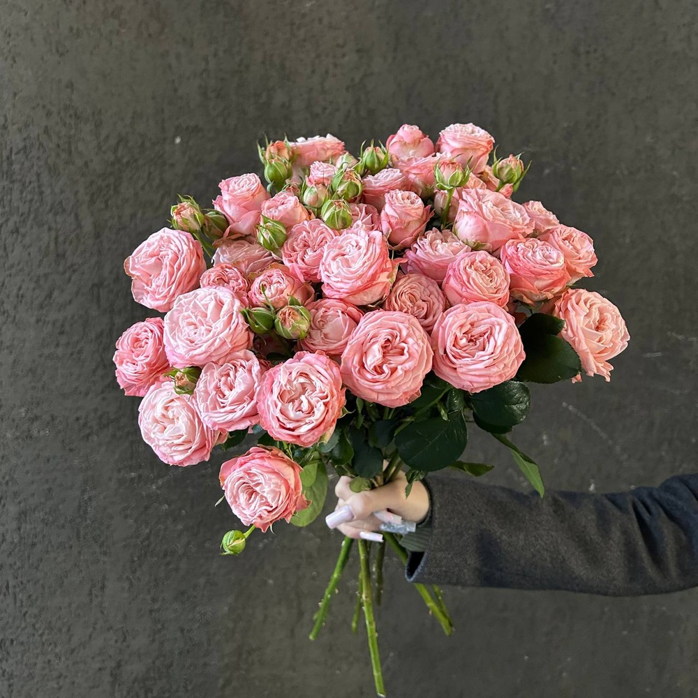 Монобукет из 7 кустовых роз Бомбастик под ленту