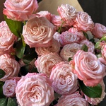 Монобукет из 11 кустовых роз Бомбастик в крафте — монобукет из кустовой розы Бомбастик - Фотография 7