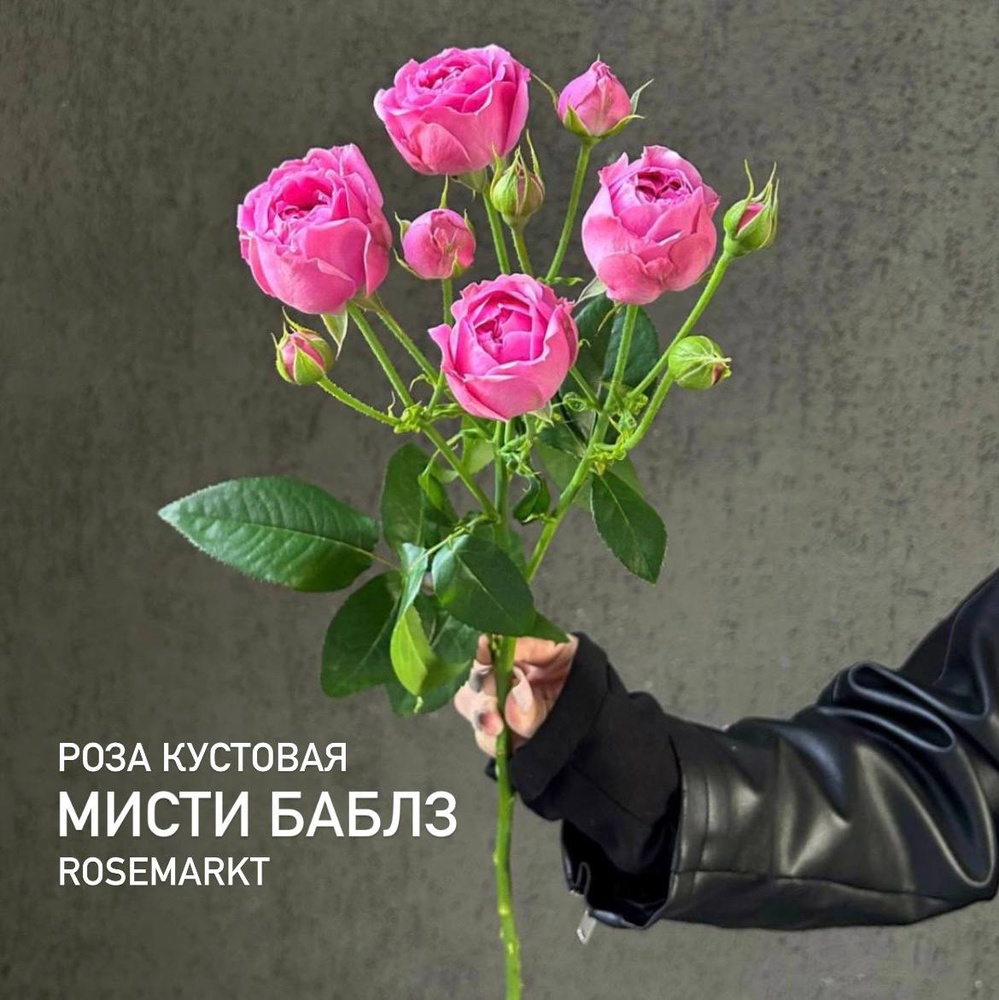 Мисти Баблз, штучно — букет из кустовой розы Мисти Баблз