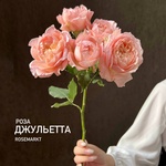 Роза кустовая Джульетта, штучно — монобукет из кустовой розы Джульетта - Фотография 2