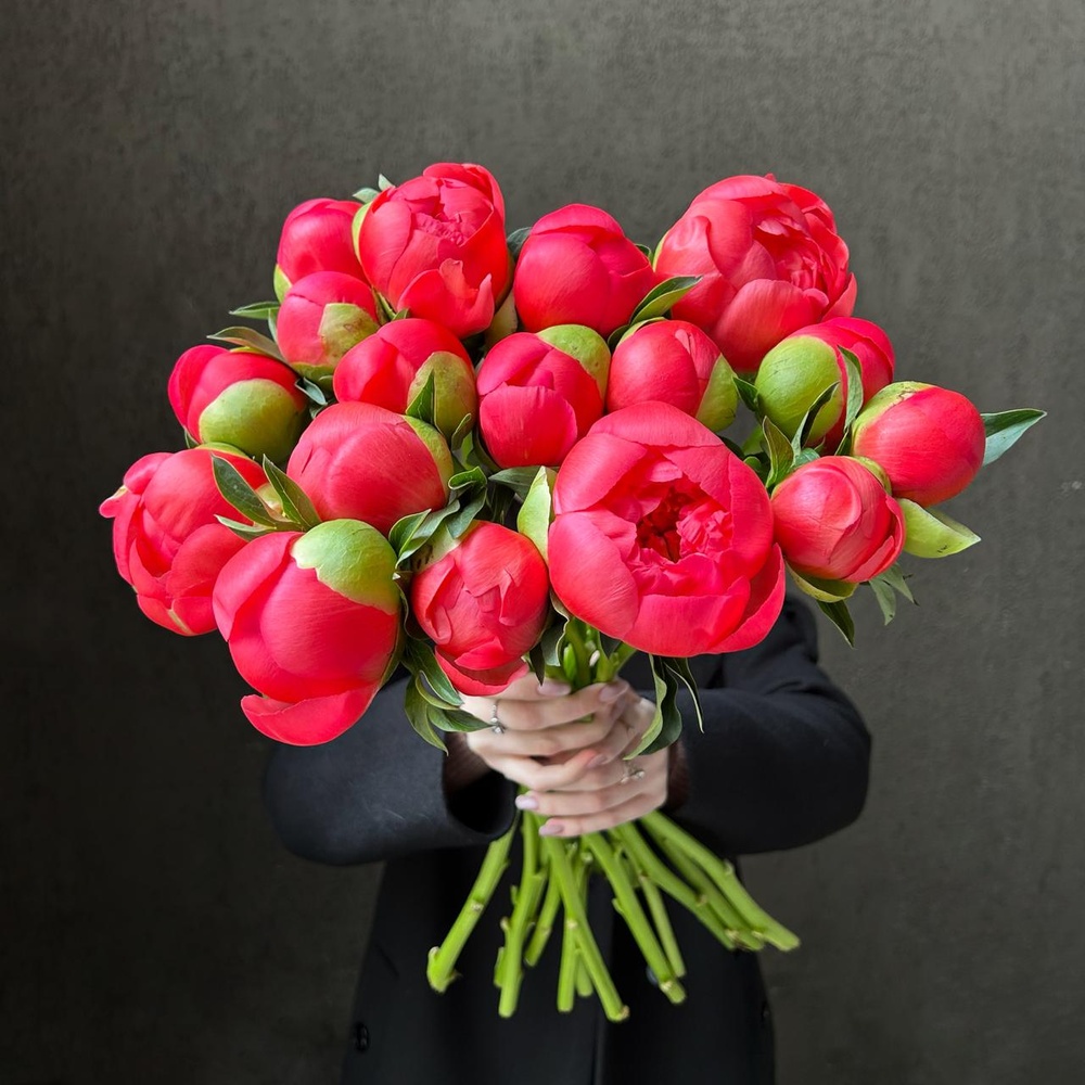 Коралловые пионы