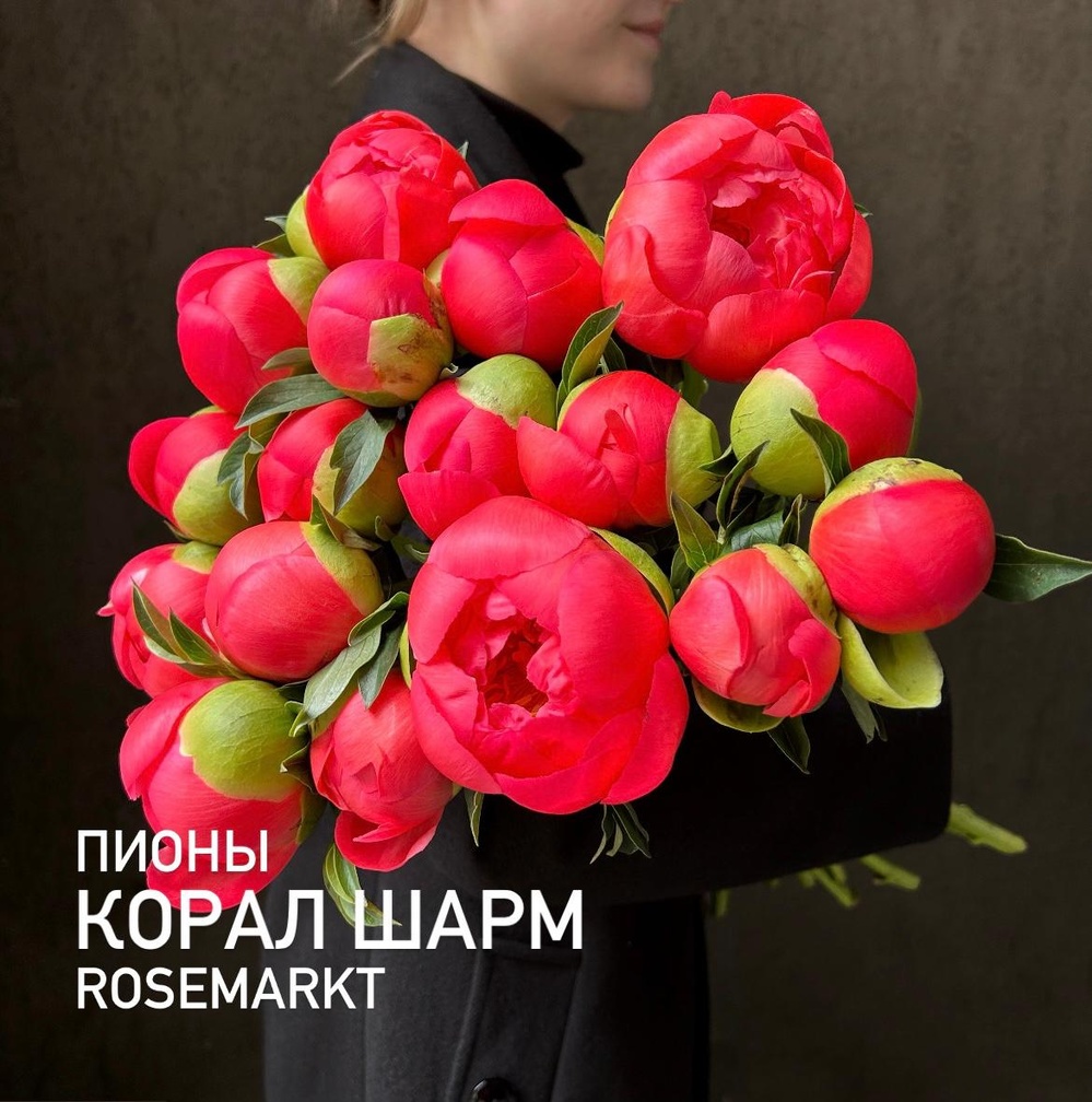 Коралловые пионы