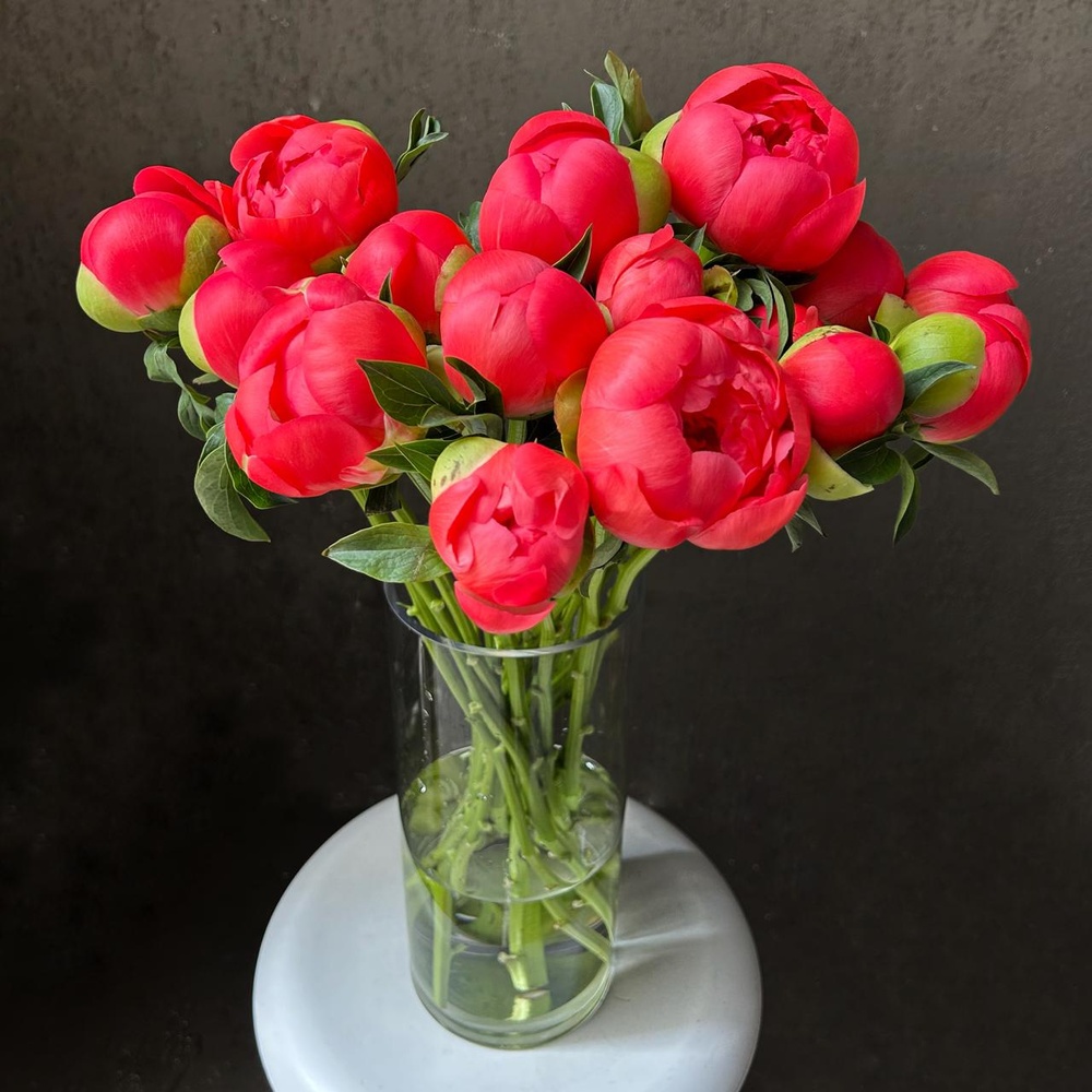 Коралловые пионы