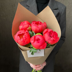 Букет «Всё начинается с любви: 5 коралловых пионов в крафте»