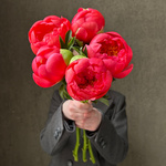 Свежих 5 коралловых пиона под ленту — букет с пионами / моно-букет с пионами - Фотография 4