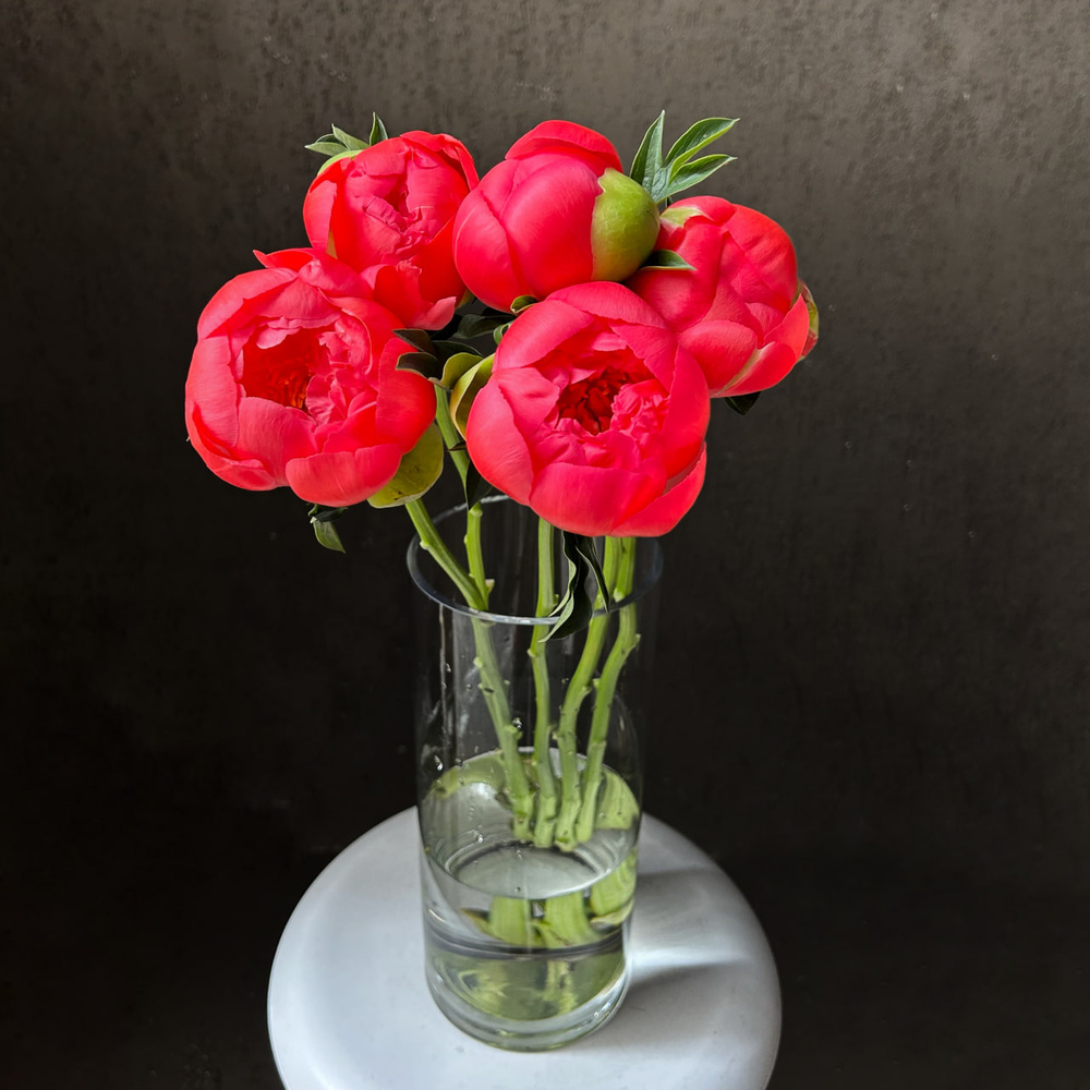 Свежих 5 коралловых пионов под ленту