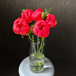 Свежих 5 коралловых пиона под ленту — букет с пионами / моно-букет с пионами - Фотография 5