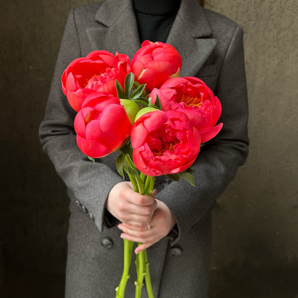 Свежих 5 коралловых пиона под ленту — букет с пионами / моно-букет с пионами