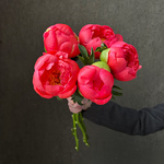 Свежих 5 коралловых пиона под ленту — букет с пионами / моно-букет с пионами - Фотография 6