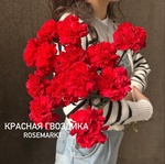 Красные гвоздики — монобукет из красной гвоздики - Фотография 4