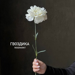 Белые гвоздики, штучно