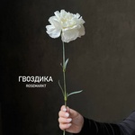 Белые гвоздики, штучно — монобукет из белой гвоздики - Фотография 1