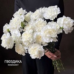 Белые гвоздики, штучно — монобукет из белой гвоздики - Фотография 2
