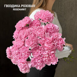 Розовые гвоздики, штучно