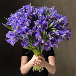 55 синих ирисов под ленту — монобукет из 55 синих ирисов - Фотография 1