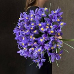 45 синих ирисов — монобукет из 45 синих ирисов - Фотография 4