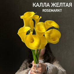 Жёлтые каллы, штучно