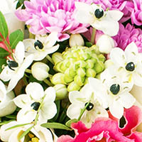 Орнитогалум