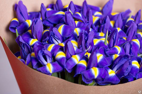 Букет для мужчины: составляем грамотно