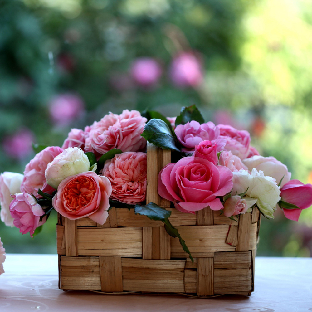 Продлеваем жизнь цветам в жаркие дни