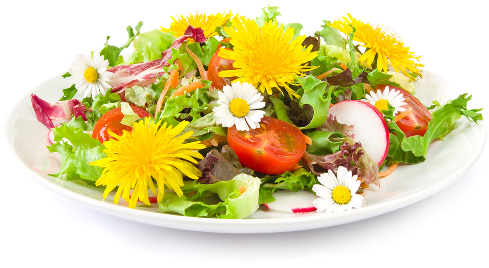 Готовим из... цветов