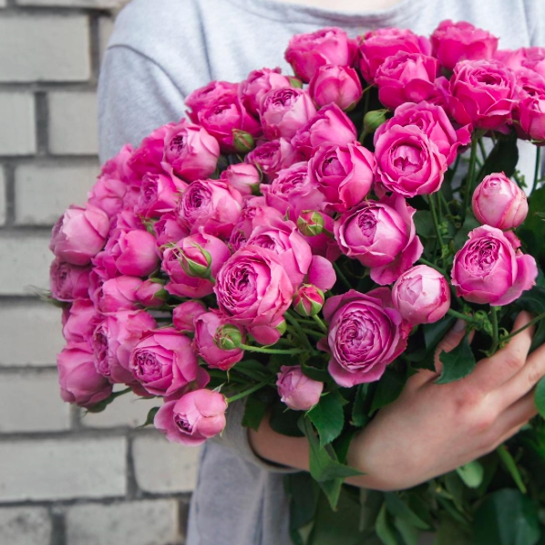 Петербург – Кипр