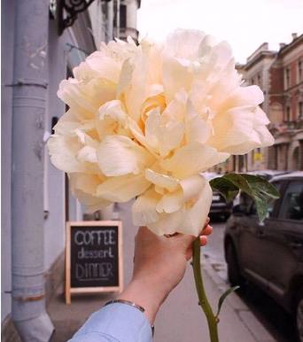 Один цветок | RoseMarkt Санкт-Петербург