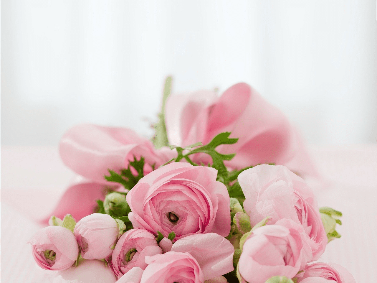 Какие цветы лучше подарить маме на день рождения обертку для цветов где купить