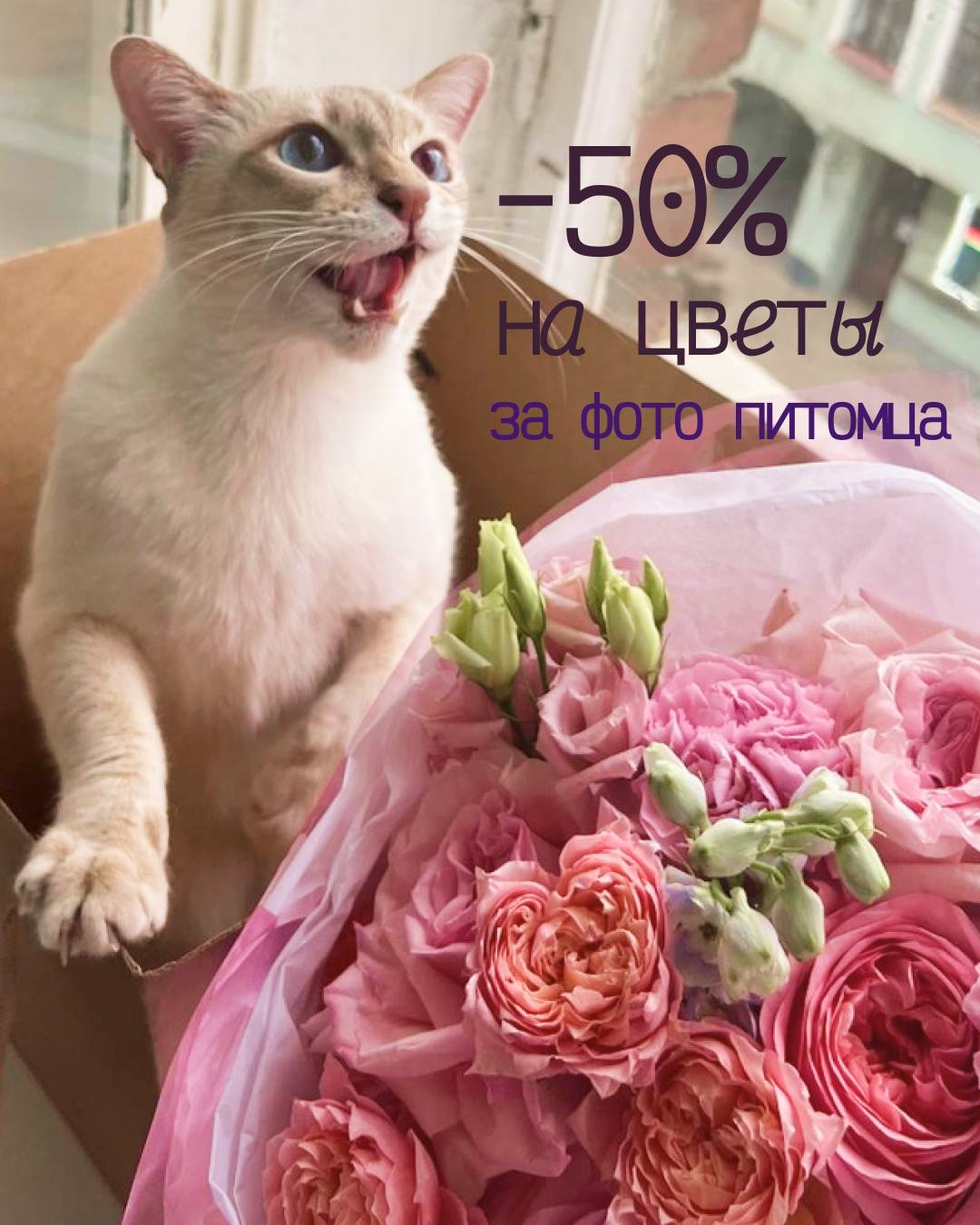 Ивенты RoseMarkt: акции, скидки и цветы недорого в СПб