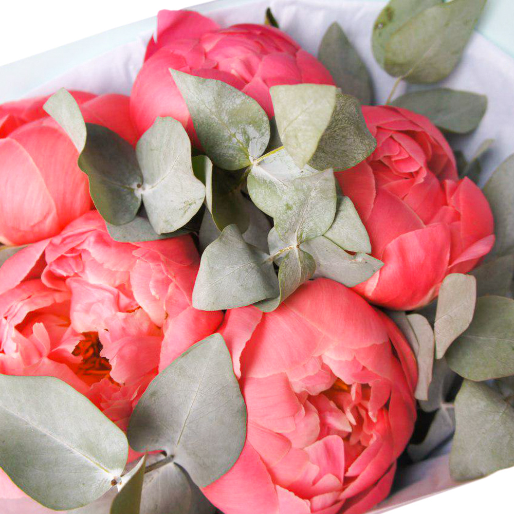 Чем заменить пионы вне сезона